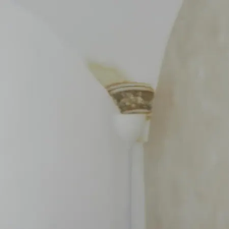 Appartamento My Sorrento